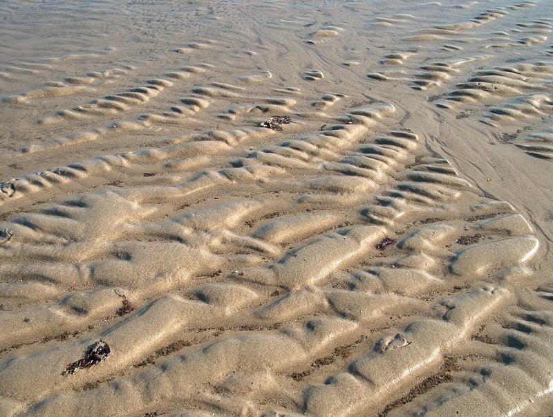 Molten Lava Chocolate Cake